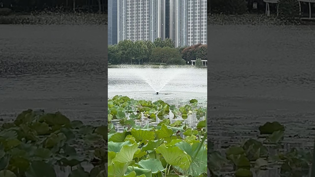 Search on Amazon for RELIY. RELIY Pond Fountain 