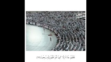 الشيخ عبدالله الجهني من سوره الأنبياء