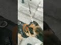 ١٨ يوليو ٢٠٢٥ ١٨ يوليو ٢٠٢٥
