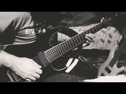 @meshuggah - Straws pulled at random outro guitar cover.