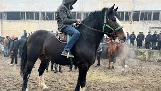 картинка: 1МЛН ПРАСМОТР АСПБОЗОРИ ЛЕНИНСКИЙ РАЙОН 😱🚨НАРХО КИМАТ ШИД СРОЧНО 🚨15:01:2025
