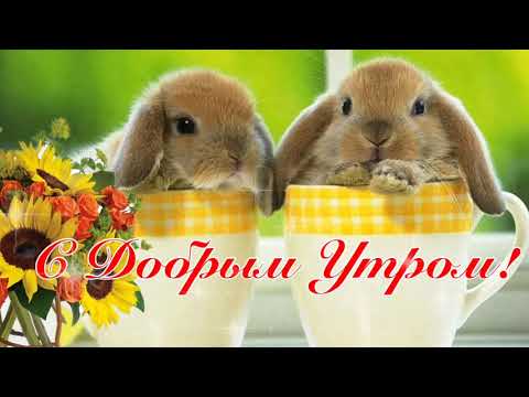 Желаю Я Тебе Добра! Красивая Музыкальная Открытка Пожелание! Музыка Сергей Чекалин!
