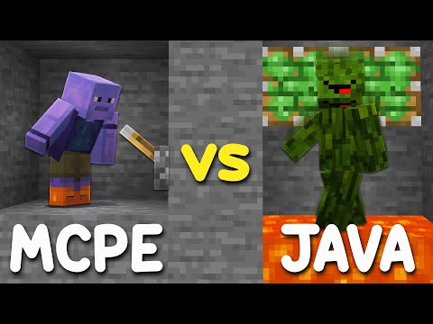 Minecraft Bedrock Trapper vs Minecraft Java Trapper