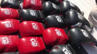 Rex Boxing Gloves Screen Printing