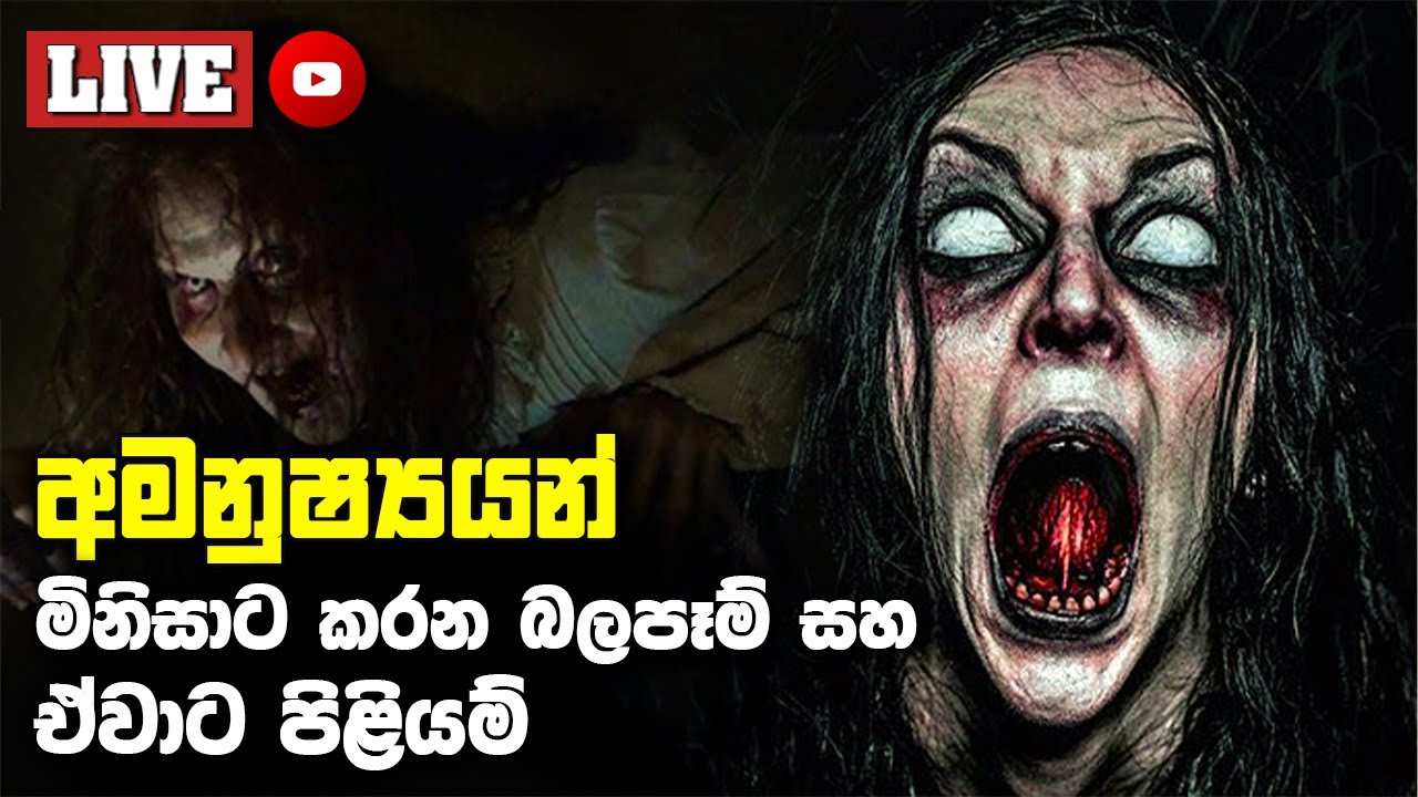 අමනුෂ්‍යයන් මිනිසාට කරන බලපෑම් සහ ඒවාට පිළියම්
