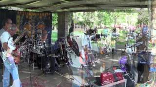 Love Me Please - Savoy Brown - Neighborhood Picnic Band 2014