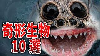 【ゆっくり解説】閲覧注意。突然変異してしまった奇形生物10選