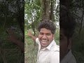 elakkaya..🫣🫣 #ytshorts #shorts#shorts #vlog #youtubeshorts #youtube #trendingvideo #videos #fruit