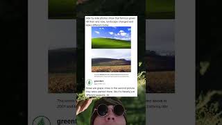 When You Realize The Windows Xp Hill Is A Vineyard