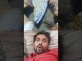 underwater wheel catching amazing #viral #ytvideo #विडियो