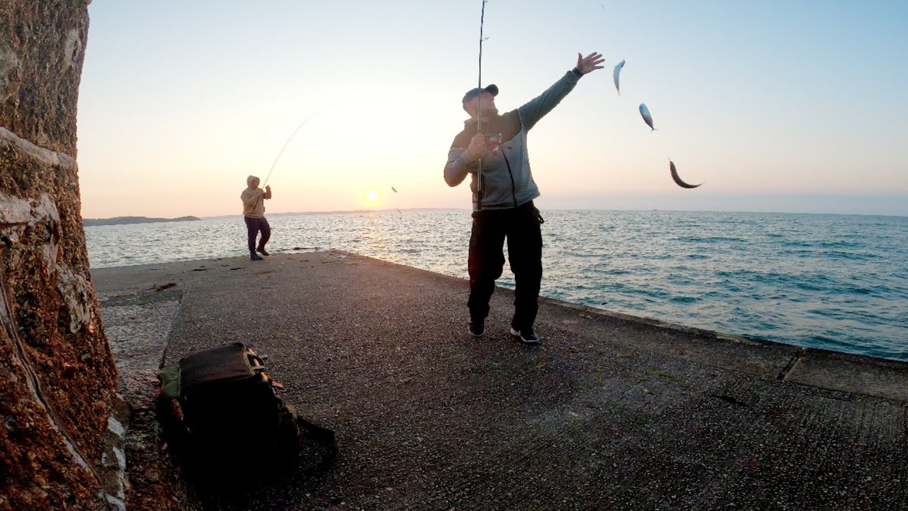 Odc. 115 Jak łowić makrele na wybrzeżu... Port w Mevagissey...