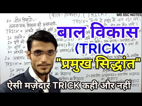 वीडियो: बाल विकास में सिद्धांतवादी क्यों महत्वपूर्ण हैं?