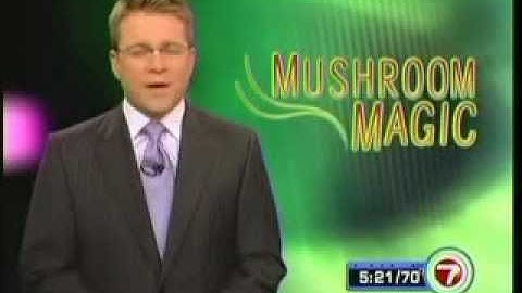 Mushroom Magic: Ganoderma Lucium Attracts Media Attention Channel 7