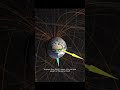 will Earth lose Gravity in 2026? NASA finally responds😳.#space #nasa #shorts