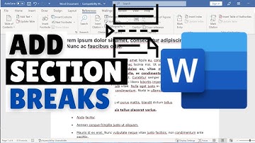 How to Add Section Break in Word | Insert Section Breaks in MS Word