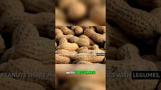 Peanuts vs Nuts: The Botanical Truth Revealed!