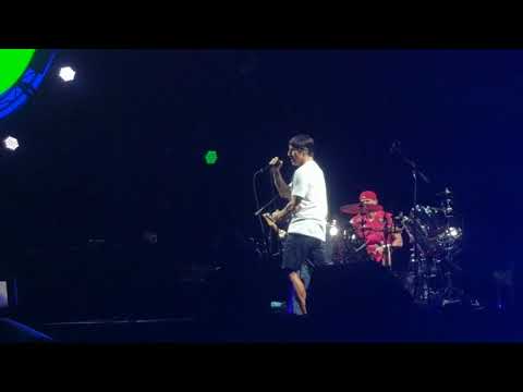 Red Hot Chili Peppers - Nobody Weird Like Me (Live at HBF Park, Perth, Australia, 5-Mar-18)