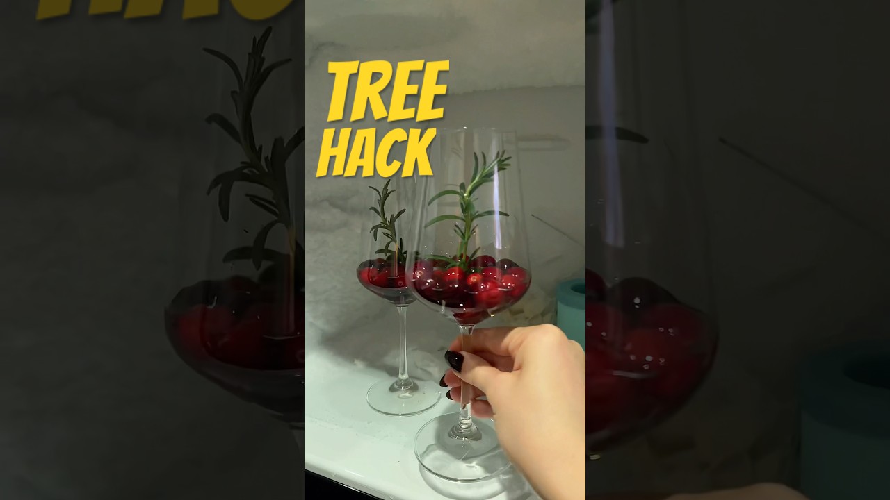 Christmas Champagne Tree Hack 🎄🥂 | Viral Holiday Party Idea