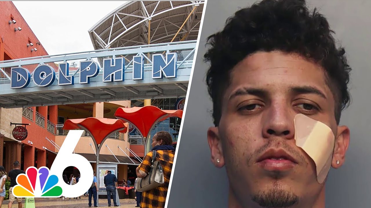 Alleged Tren de Aragua gang member arrested at Florida mall: Police ...