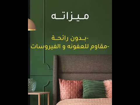 احمي بيتك من العفن مع إيكو هايجو من دهانات القدس