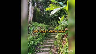 Bukit Hijau Penang  Hiking Penang 2021 Breathtaking Hiking View