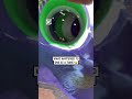 Waterslide worker goes on unexpected adventure 😂🤦              🎥: Annaelle Haim via ViralHog