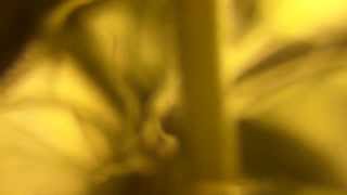 Day 30 - Stem Trichs