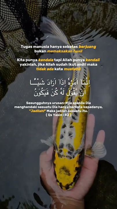 KATA ORANG JAWA wayang mung manut lakune dalang #viralvideo#trending#shorts