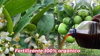 Fertilizante 100% Orgánico para evitar la caida de las flores y frutos de tus árboles frutales