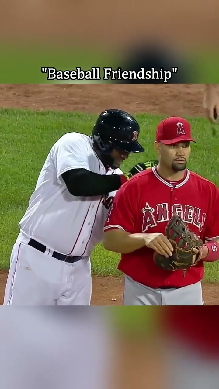 MLB’s Sweetest Friendship Moments ⚾❤️ #MLB #Baseball #MLBMoments #SportsFriendship #fyp