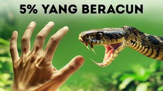 Snakes Hit the Evolutionary Jackpot, Here's Why