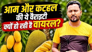 “आम और कटहल की ये वैरायटी क्यों हो रही है वायरल?” Mango Plant & Jackfruit Plant |
