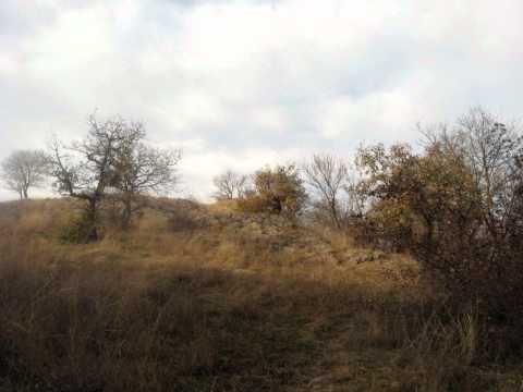 Видео: Как да се отпуснете сред природата