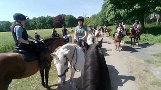 Apollo didn't want to slow down, he didn't listen to my voice, reins or knee into the saddle 😳