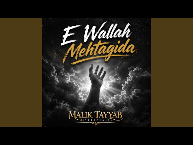 E Wallah Mehtagida