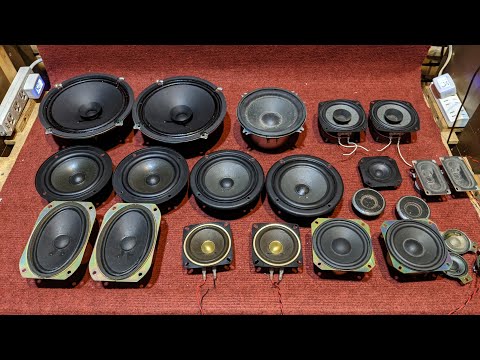 Video (ĐÃ BÁN) Củ Loa Về Hàng Phục Vụ Anh Em Chế Cháo Các... - youtube