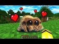 DÃœNYA'NIN EN TATLI Ã–RÃœMCEÄžÄ°NÄ° BULDUM! ðŸ˜± - Minecraft