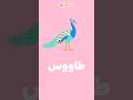 ط طاء أغنية حرف الطاء 