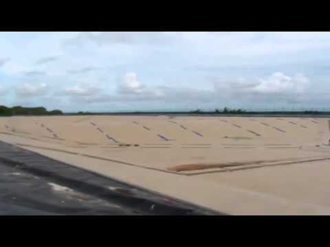 ANC Bird Control - YouTube