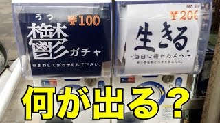 【鬱ガチャ】の後に【生きるガチャ】を引いたら気持ちはリセットされるのか？