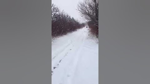 Polaris xlt 600 w/ dg can