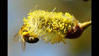 Petition an den Deutschen Bundestag