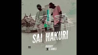 Rabboy ft S.James - Sai hakuri Resimi