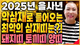 ✨미리보는 2025년 삼재특집✨ 2025년 을사년에 최악의 삼재띠는 어떤 띠? 토끼띠 양띠 돼지띠 운세 중 …