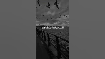 راحه نفسيه 🎧😴🕊️أجمل حالات واتس اب قرآن كريم بصوت جميل جدا تلاوه خاشعه 𝙌𝙪𝙧𝙖𝙣 𝙎𝙩𝙖𝙩𝙪𝙨❤️✨