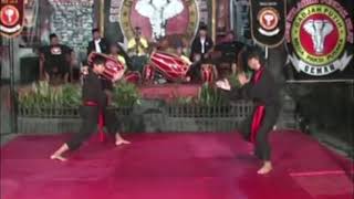 [Pencak Silat] Great Fight Son of Elders Gadjah Putih Sogarimba | Adi & Deddy