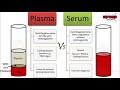 Difference between Plasma &amp; Serum.Most important lab question asked in viva or Job interview