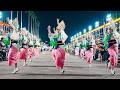 Japan's Traditional Dance Festival Awa Odori | 2024 Awaodori in Tokushima