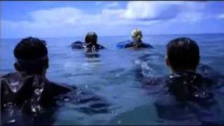 The Reef 2010 Official Trailer