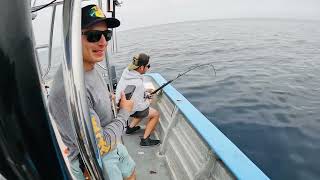 Pesca de atún aleta azul en Ensenada